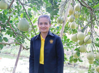 ลงพื้นที่ตรวจเยี่ยมและติดตามการดำเนินงานของศูนย์เรียนรู้การปลูกส้มโอทับทิมสยามบ้านแสงวิมานตำบลคลองน้อย อำเภอปากพนัง จังหวัดนครศรีธรรมราช โดยนายชวกิจจ์ สุวรรณคีรี รองผู้ว่าราชการจังหวัดนครศรีธรรมราช กล่าวต้อนรับพร้อมนายวิศิษฐ์ ศรีสุวรรณ์ อธิบดีกรมส่งเสริม ... พารามิเตอร์รูปภาพ 11